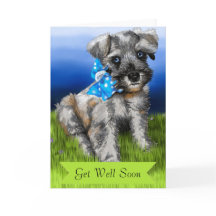 Schnauzer Puppy con una buena relación