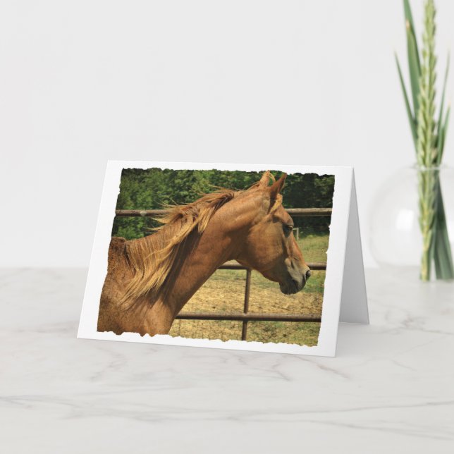 Tarjeta Scotch, cumpleaños (Anverso)