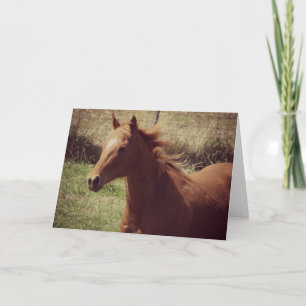 Tarjeta Scotch en movimiento en todas las ocasiones