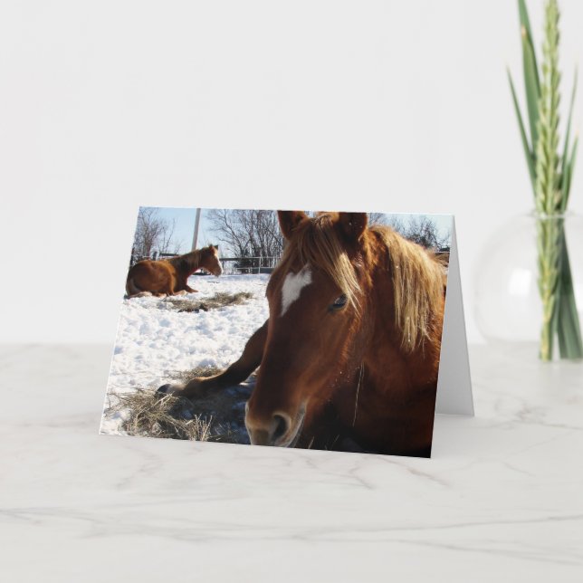 Tarjeta Scotch Sleeps (Anverso)