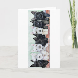 Tarjeta Scottie Puppies