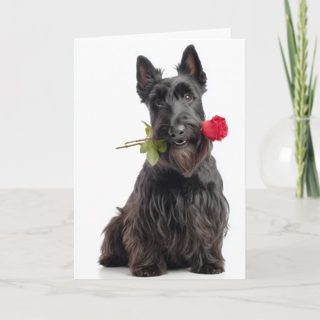 Tarjeta Scottie Valentine – Amor y Lealtad Inquebrantables (Anverso)