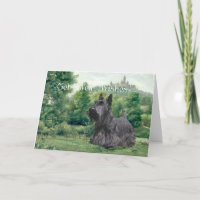 Scottish Terrier se lleva bien