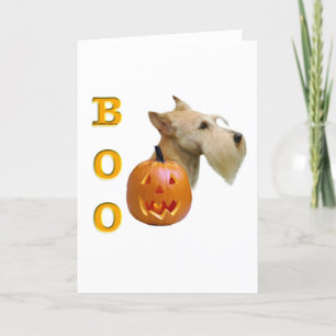 Tarjeta Scottish Terrier (trigo) Boo