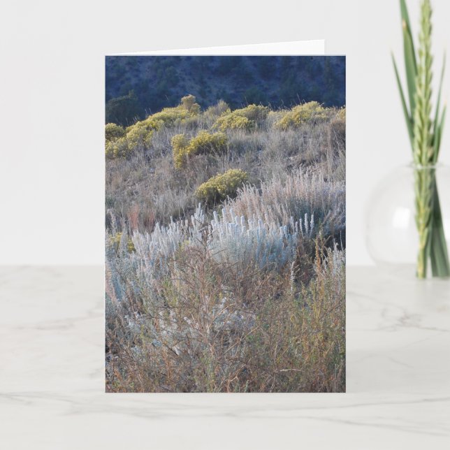 Tarjeta Scrub (Anverso)