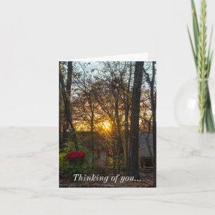 Tarjeta Sdc Woods Sunset Thinking Of You Card