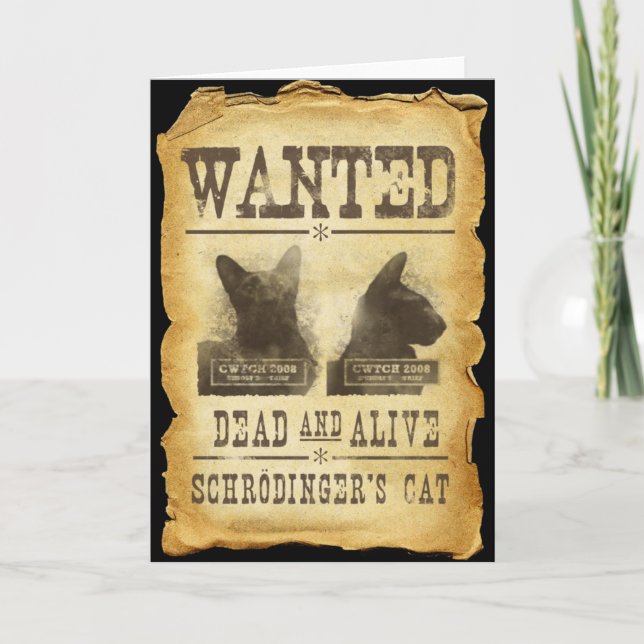 Tarjeta Se busca vivo y muerto. El gato de Schroedinger. (Anverso)