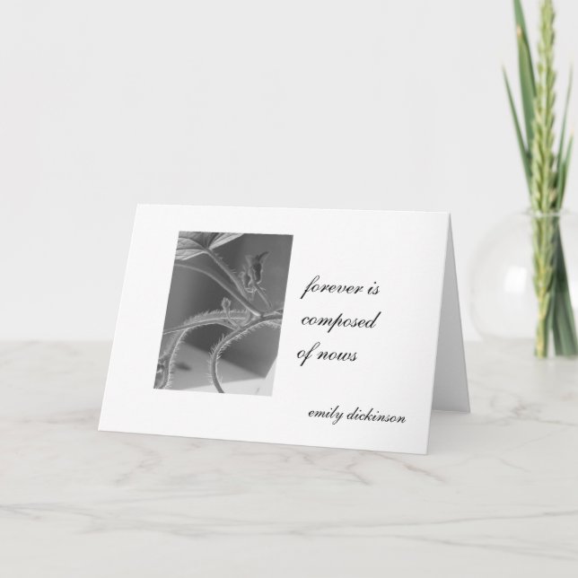 Tarjeta "Se compone para siempre de nows." Emily Dickinson (Anverso)