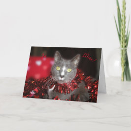 Tarjeta "¡Sé mío!"