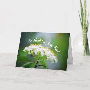 Tarjeta Sé sanado en el nombre de Jesús Flor Blanca Cristi