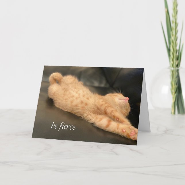 Tarjeta Sea Fierce Card Naranja Ginger Tiger Kitten Cute (Anverso)