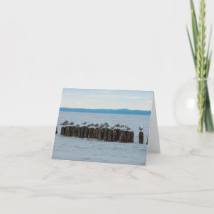 Tarjeta Seagull Breaktime