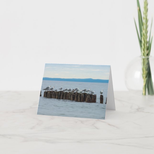 Tarjeta Seagull Breaktime (Anverso)