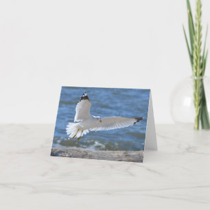 Tarjeta Seagull Notecard