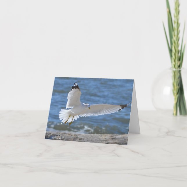 Tarjeta Seagull Notecard (Anverso)