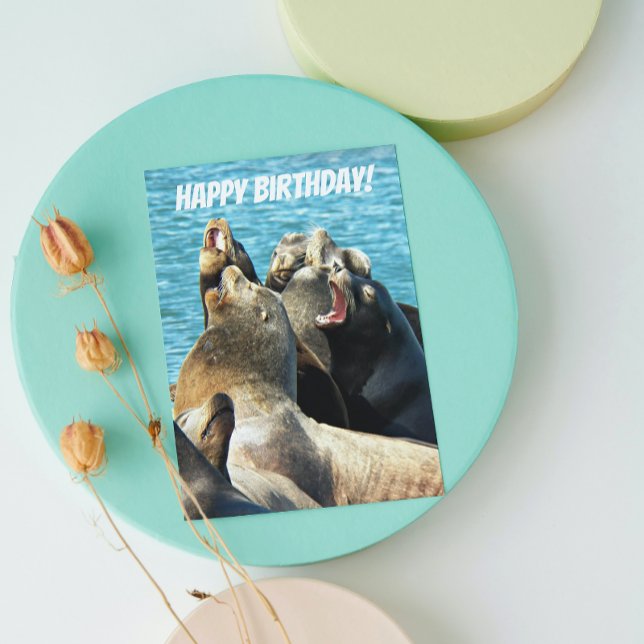 Tarjeta Seal Lions Photo De All Birday (In Situ)