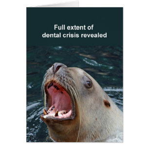 Tarjeta Sealion