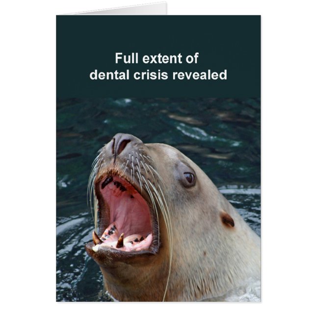 Tarjeta Sealion (Frente)