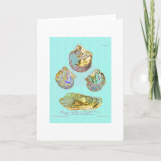 Tarjeta Seashell en azul del huevo de los petirrojos