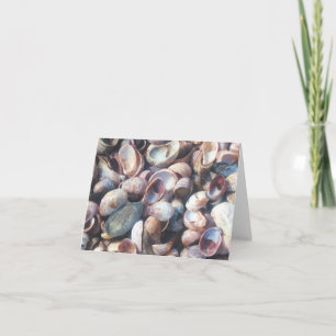 Tarjeta Seashell Notecard