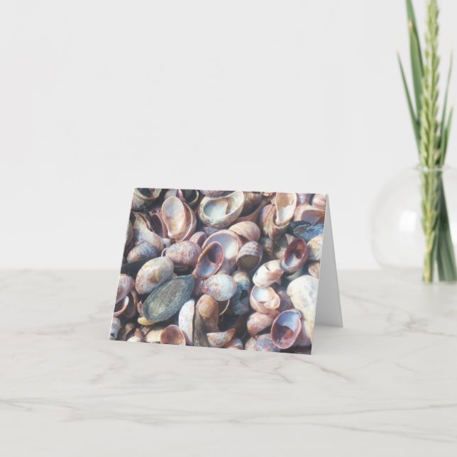 Tarjeta Seashell Notecard (Anverso)
