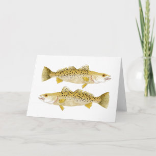 Tarjeta Seatrout