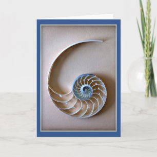 Tarjeta Sección de Nautilus Shell