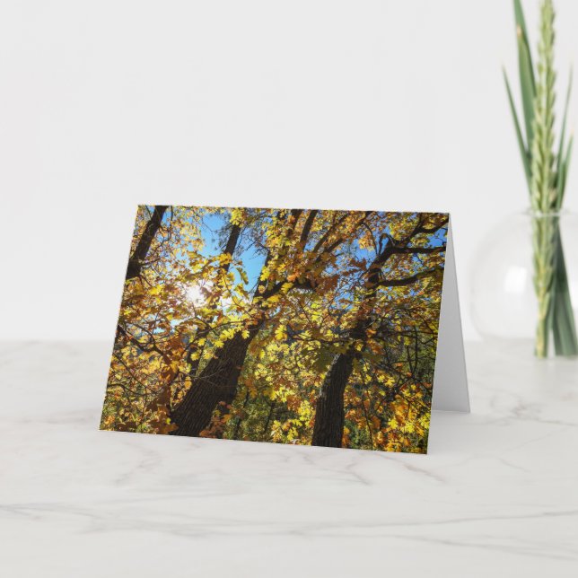 Tarjeta Sedona Autumn Notecard (Anverso)