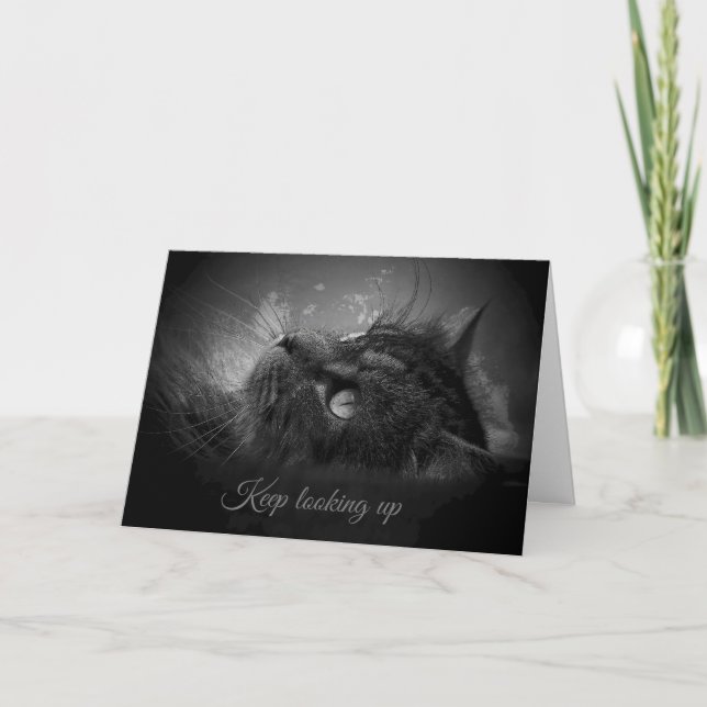 Tarjeta Seguir buscando (Anverso)