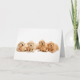 Tarjeta Seis Cachorros de Golden Retriever