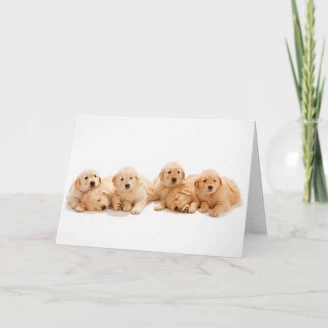 Tarjeta Seis Cachorros de Golden Retriever (Anverso)