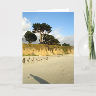 Tarjeta Seis postes y una sombra