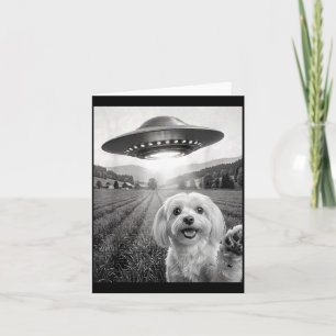 Tarjeta Selfie Con Alien Ovni Divertido Perro Maltés Mamá