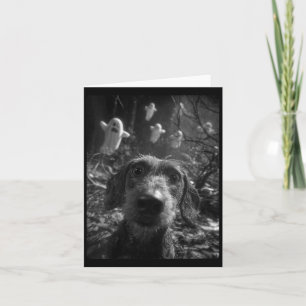 Tarjeta Selfie de Dachshund Femenino con Fantasmas en el B