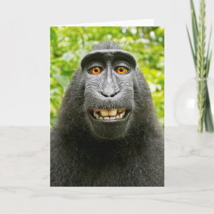 Tarjeta Selfie de mono