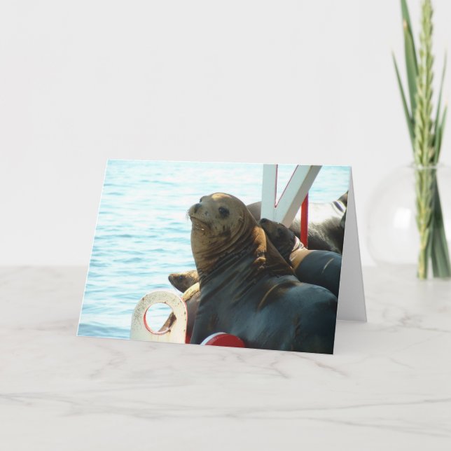 Tarjeta Sello de la bahía de Morro (Anverso)