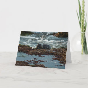 Tarjeta Sello de puerto de luz solar I en San Diego