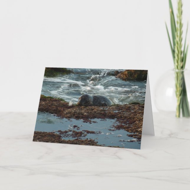 Tarjeta Sello de puerto de luz solar I en San Diego (Anverso)