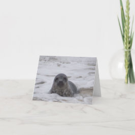 Tarjeta Sello - Impresión fotográfica a color animal Notec