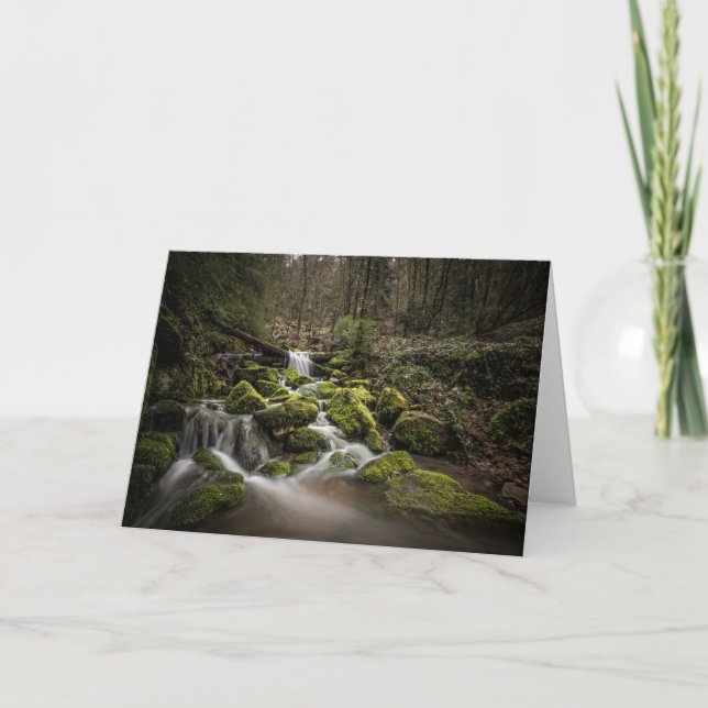 Tarjeta Selva negra Alemania (Anverso)