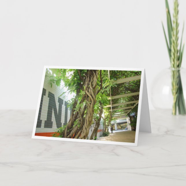 Tarjeta Selva urbana (Anverso)