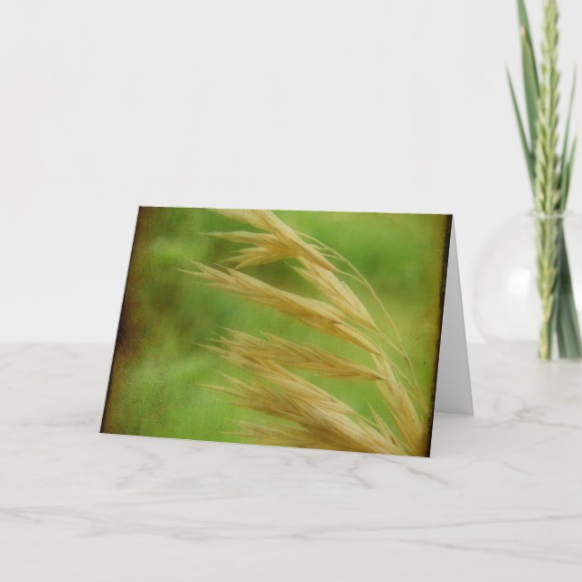 Tarjeta Semilla de hierba (Anverso)
