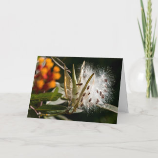 Tarjeta Semillas del Milkweed