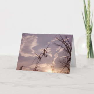 Tarjeta Semillas en última hora de la tarde