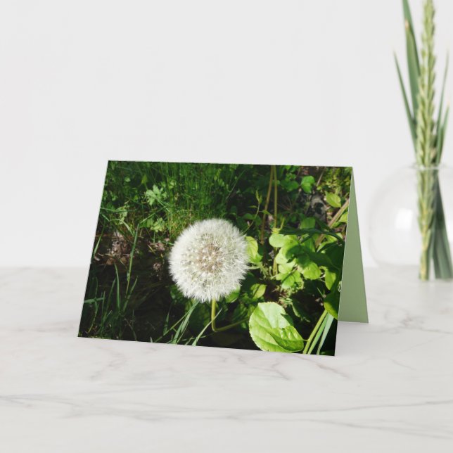 Tarjeta Semillas listas para volar (Anverso)