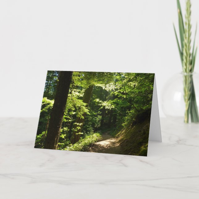 Tarjeta Sendero desde Silver Falls (Anverso)