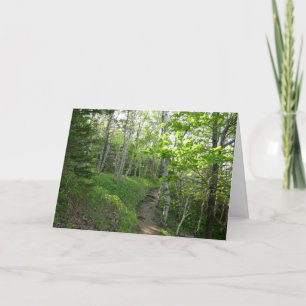 Tarjeta Sendero forestal en el Parque Nacional de Acadia