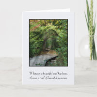 Sendero Forestal En Simpatía De Los Vientos De Sol