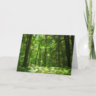 Tarjeta Sendero Hemlock en el Parque Estatal Laurel Hill I
