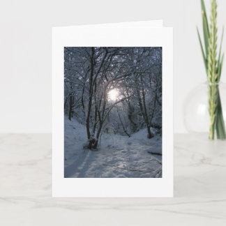 Tarjeta Sendero Snowley Forest